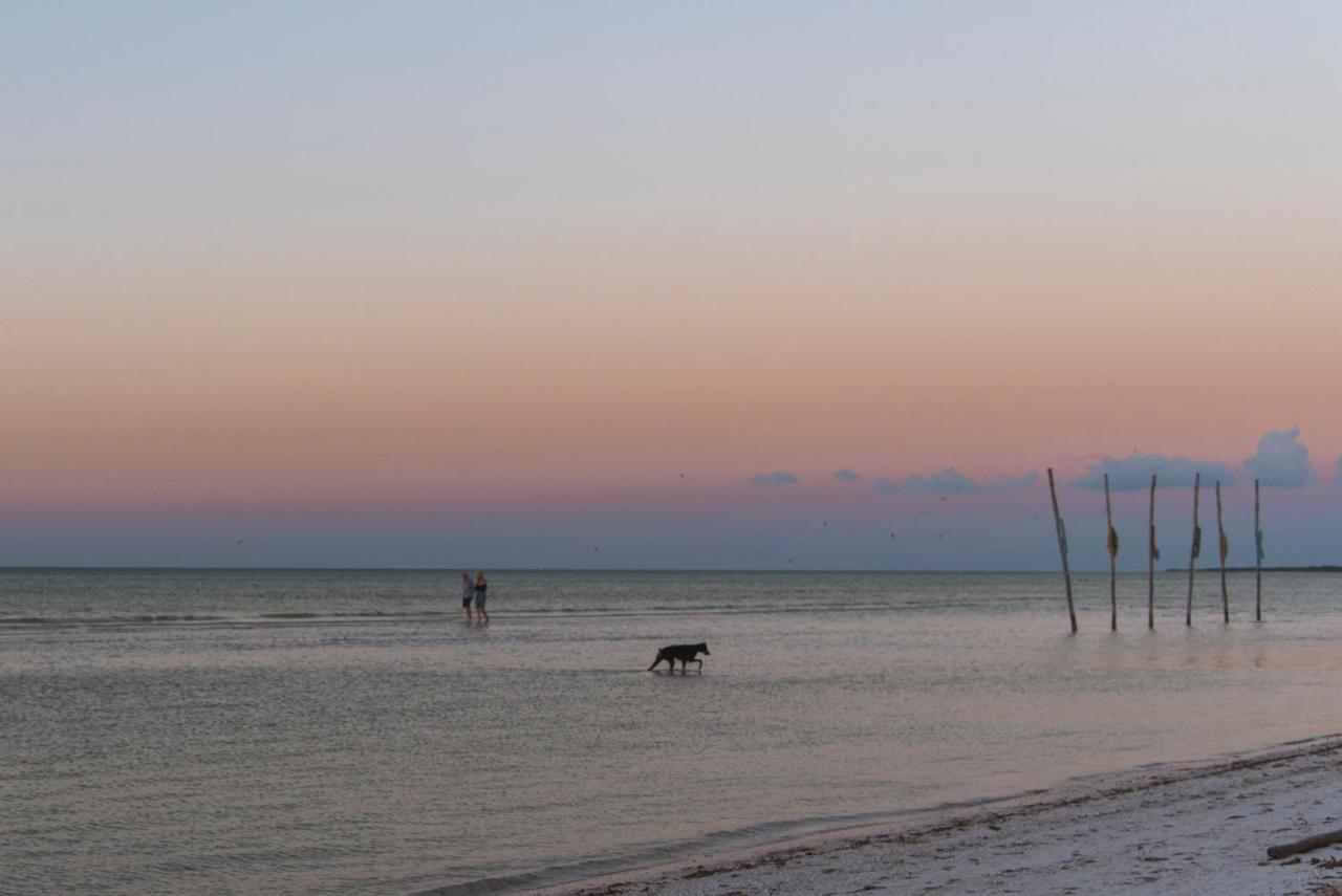 Отель Blue Holbox Экстерьер фото